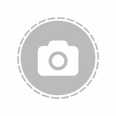 Anita Elisabeth Larsen